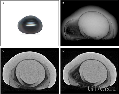 Fig18_468px_cc_w.png