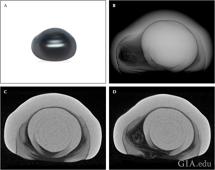 Fig18_720px_cc_w.png