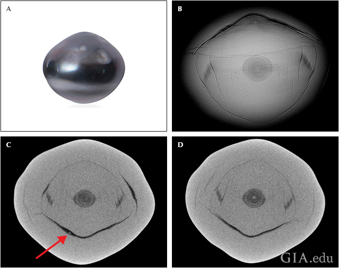 Fig19_720px_cc_w.png