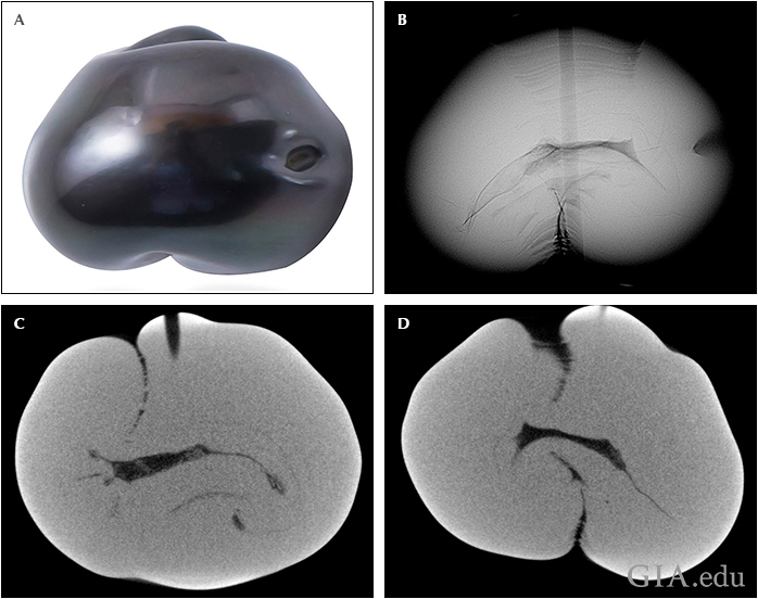 Fig21_720px_cc_w.png