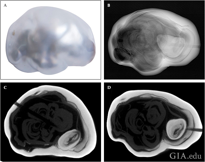 Fig22_720px_cc_w.png