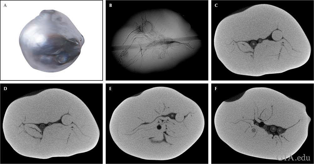 Fig23_1025px-v4_w.png