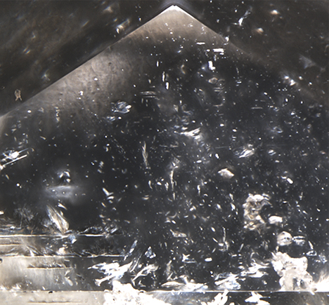 Photomicrograph