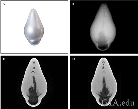 Fig9_468px_cc_w.png