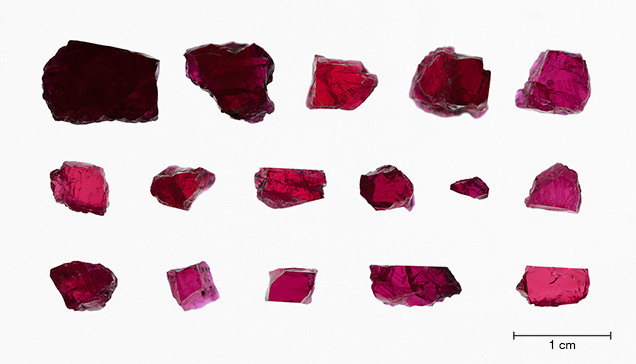 Sixteen samples of facet-quality ruby