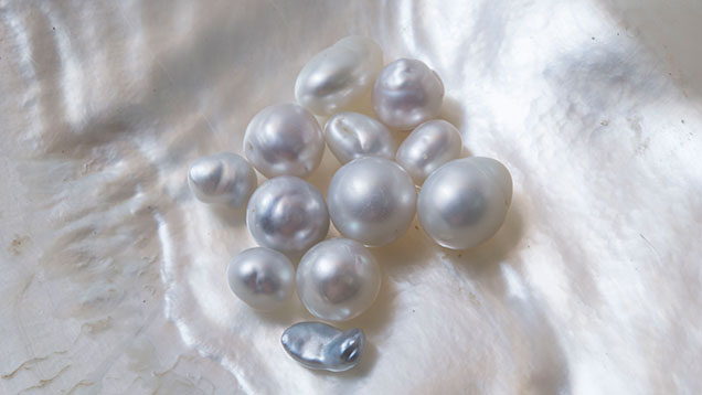 In 2011, the authors began to see cases of low-quality natural pearls being used as unconventional “beads” for cultured nacre growth. In 2011, the authors began to see cases of low-quality natural pearls being used as unconventional “beads” for cultured nacre growth.