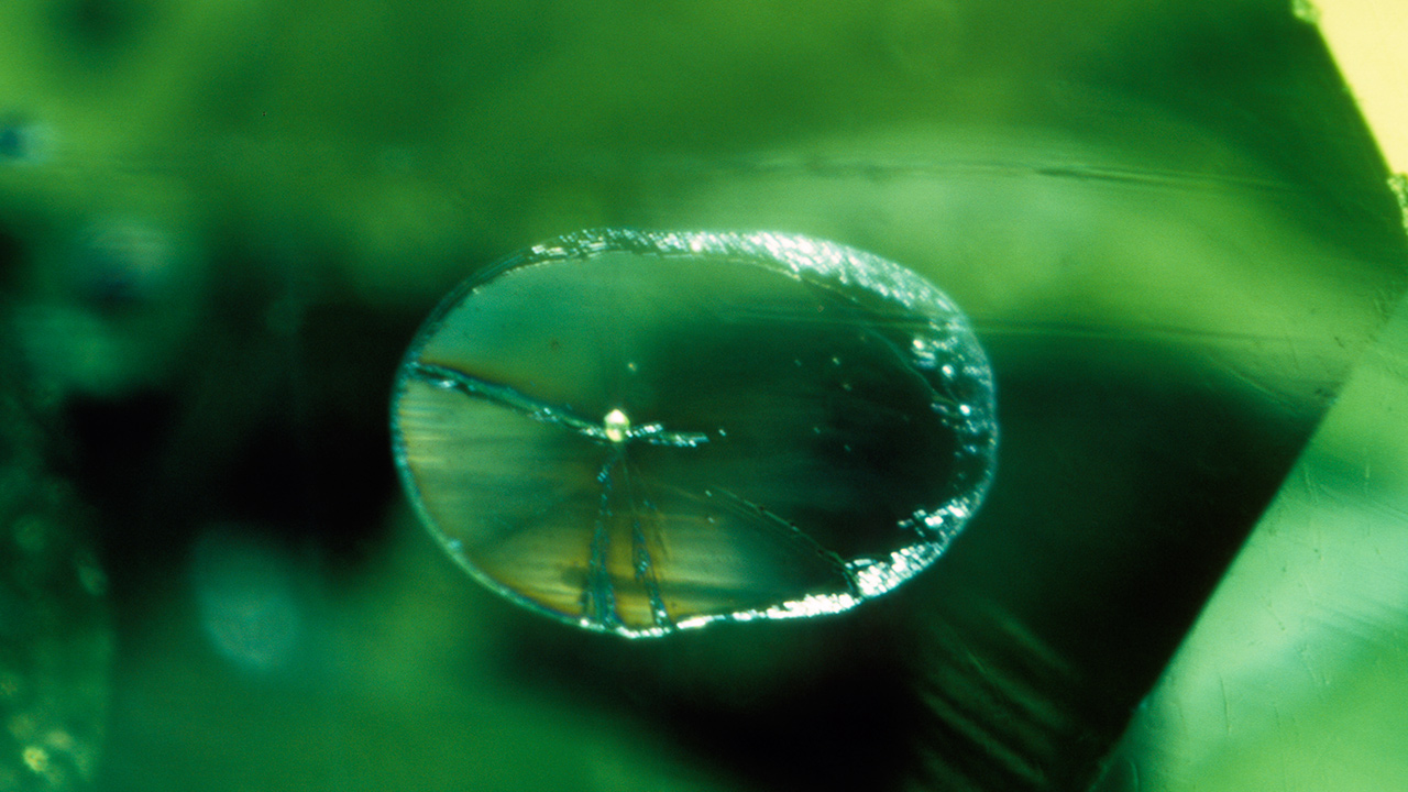 Insights-on-Inclusions-SS_4348-1280x720.jpg. ペリドットでみられる最も一般的な内包物は、いわゆる「蓮の葉状」内包物である。 実際は、蓮の葉のようなものは、結晶に含まれた小さな固体の膨張か、もっと一般的なのは、少量の液体で満たされた負結晶である。 「蓮の葉状」内包物はペリドットの重要な特徴である。 20倍率。