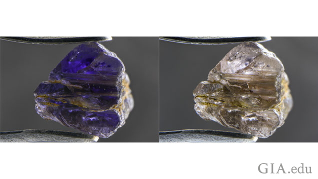 Johnkoivulaite shows strong pleochroism, going violet (left) to near-colorless (right) when examined with polarized light. Field of View:10.05mm. Photomicrographs by Nathan Renfro/GIA. Johnkoivulaite shows strong pleochroism, going violet (left) to near-colorless (right) when examined with polarized light. Field of View:10.05mm. Photomicrographs by Nathan Renfro/GIA.