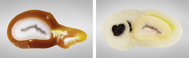“Golden” and white atypical bead-cultured pearls “Golden” and white atypical bead-cultured pearls