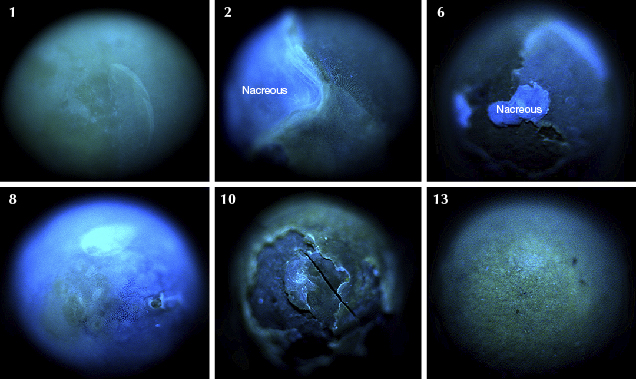 Reactions of six selected pearls under ultra-short UV. Reactions of six selected pearls under ultra-short UV.