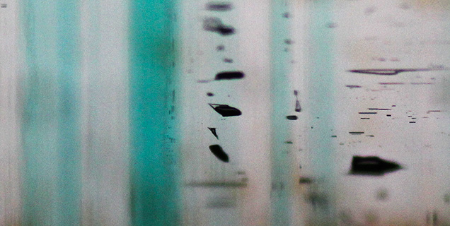 Primary fluid inclusions in zoned emerald crystal Primary fluid inclusions in zoned emerald crystal