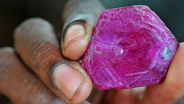 A large, silky ruby crystal from the Montepuez area of Mozambique, seen in Nampula in September 2009. Photo by Vincent Pardieu/GIA. A large, silky ruby crystal from the Montepuez area of Mozambique, seen in Nampula in September 2009. Photo by Vincent Pardieu/GIA.
