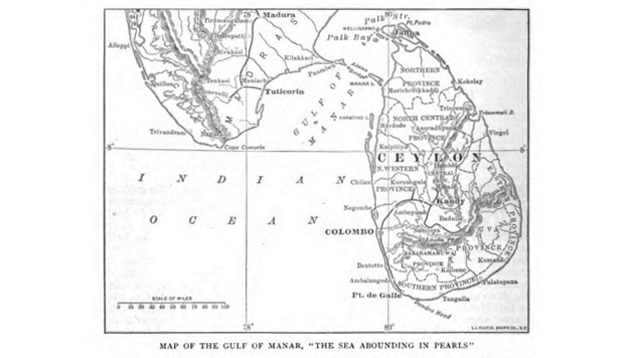 マンナール湾の地図 マンナール湾の地図