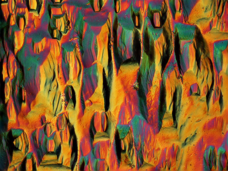 Photomicrography-Gallery-Image-2_185550-961x720.jpg