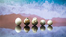 Pinctada-maxima-bead-cultured-pearls-132x74