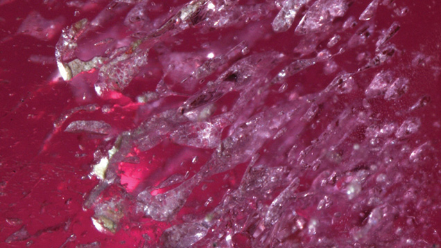 Primary Flux Inclusions