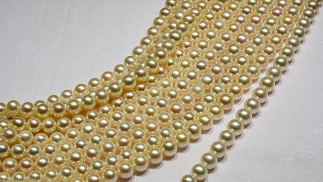 Tissue-nucleated Chinese freshwater cultured pearl strands Tissue-nucleated Chinese freshwater cultured pearl strands