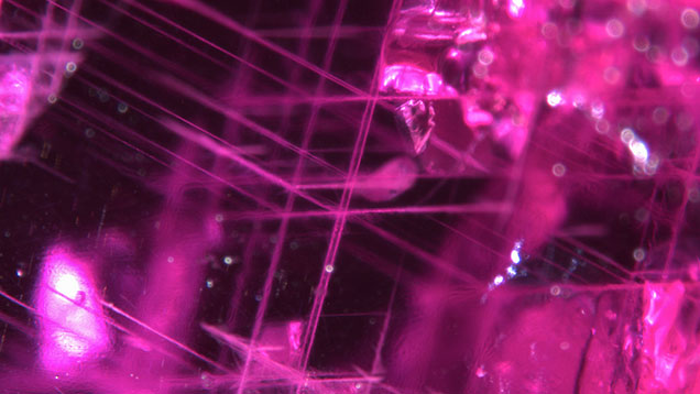 Skeleton network in ruby Skeleton network in ruby