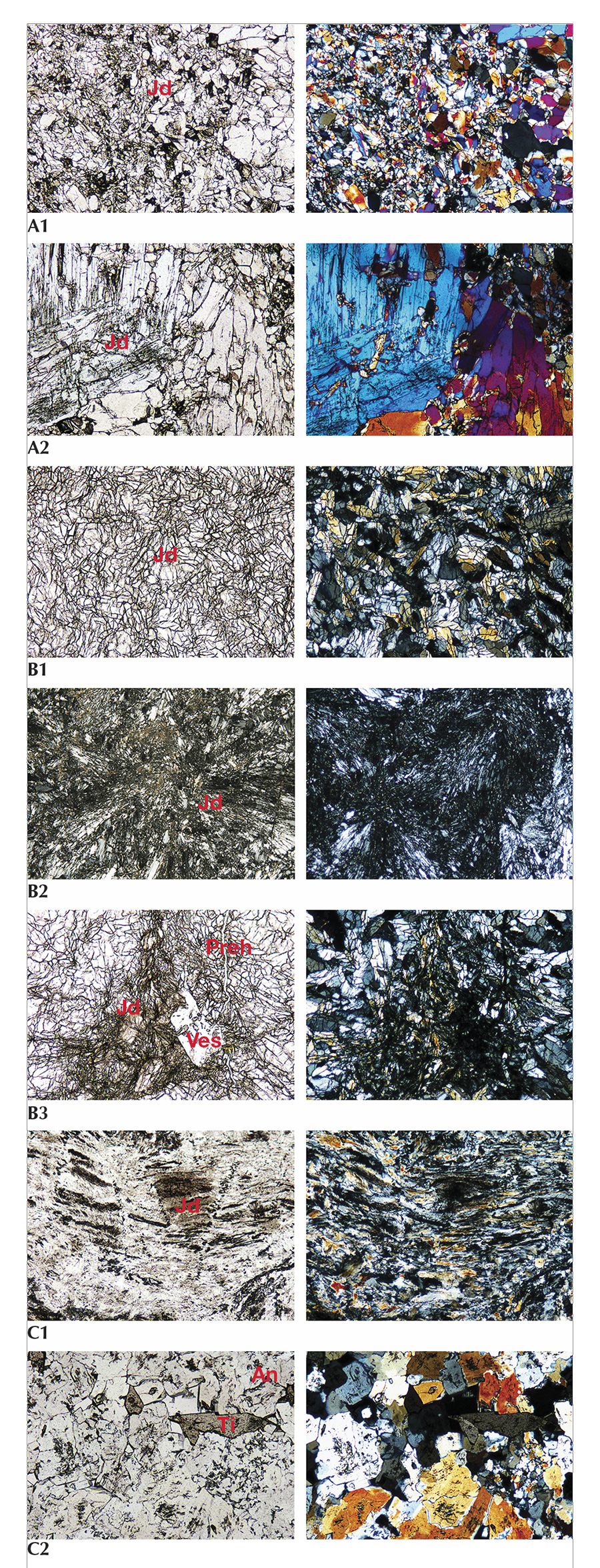 Figure 7. Petrographic microscope images of jadeite samples from Itoigawa. The left images are under plane-polarized light, the right images under cross-polarized light. Jd, Preh, Ves, An, and Ti indicate jadeite, prehnite, vesuvianite, analcime, and titanite, respectively. A1: Green jadeite K-IT-JP-14 shows a prismatic-granular crystalloblastic texture, a distribution of fine colorless cryptocrystalline grains of jadeite, and a predominance of grains around 0.05–0.3 mm in size. A2: Coarse pale green grains larger than 2 mm can also be observed in the same matrix, which is a well-formed large jadeite single crystal. The prominent (110) cleavage planes intersecting at 87° are characteristic of pyroxene. B1: Lavender jadeite K-IT-JP-25 shows near-colorless fine and micro-grained jadeite crystals with a prismatic crystalloblastic texture. B2: Ultramylonitic zones with radiating aggregates of fine jadeite grains cut randomly through the center of the matrix, indicating a lithostatic pressure during the metamorphic process. B3: Dark gray prehnite and analcime, the main constituents of the veinlets that cut through this lavender jadeite, were formed by hydrothermal fluids. A high-relief prismatic vesuvianite crystal was also found as a component mineral. C1: K-IT-JP-16 is a predominantly blue specimen, translucent with fine cryptocrystalline grains. C2: Crushed preexisting minerals produce a flow structure with granoblastic and mylonitic texture. The component minerals analcime and a very minor amount of euhedral titanite grains are observed in the matrix. Photomicrographs by Ahmadjan Abduriyim. Figure 7. Petrographic microscope images of jadeite samples from Itoigawa. The left images are under plane-polarized light, the right images under cross-polarized light. Jd, Preh, Ves, An, and Ti indicate jadeite, prehnite, vesuvianite, analcime, and titanite, respectively. A1: Green jadeite K-IT-JP-14 shows a prismatic-granular crystalloblastic texture, a distribution of fine colorless cryptocrystalline grains of jadeite, and a predominance of grains around 0.05–0.3 mm in size. A2: Coarse pale green grains larger than 2 mm can also be observed in the same matrix, which is a well-formed large jadeite single crystal. The prominent (110) cleavage planes intersecting at 87° are characteristic of pyroxene. B1: Lavender jadeite K-IT-JP-25 shows near-colorless fine and micro-grained jadeite crystals with a prismatic crystalloblastic texture. B2: Ultramylonitic zones with radiating aggregates of fine jadeite grains cut randomly through the center of the matrix, indicating a lithostatic pressure during the metamorphic process. B3: Dark gray prehnite and analcime, the main constituents of the veinlets that cut through this lavender jadeite, were formed by hydrothermal fluids. A high-relief prismatic vesuvianite crystal was also found as a component mineral. C1: K-IT-JP-16 is a predominantly blue specimen, translucent with fine cryptocrystalline grains. C2: Crushed preexisting minerals produce a flow structure with granoblastic and mylonitic texture. The component minerals analcime and a very minor amount of euhedral titanite grains are observed in the matrix. Photomicrographs by Ahmadjan Abduriyim.