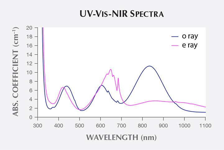 SP17-GNI-fig5_215287-720x482.jpg
