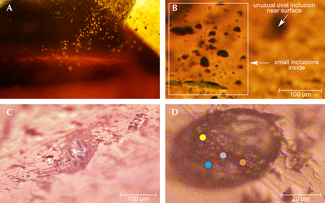 Internal features of a by-product synthetic zincite Internal features of a by-product synthetic zincite