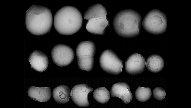 RTX analysis of smallest specimens.