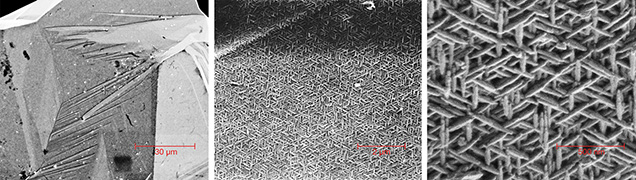 FESEM images of a freshly fractured iridescent hematite surface. FESEM images of a freshly fractured iridescent hematite surface.