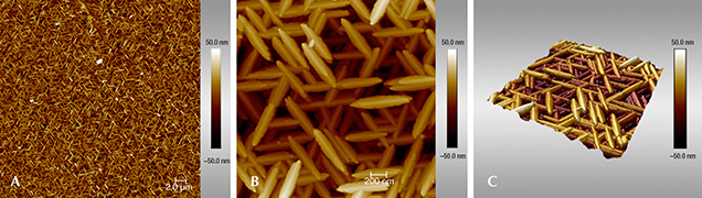 AFM images of iridescent hematite from the Andrade mine. AFM images of iridescent hematite from the Andrade mine.