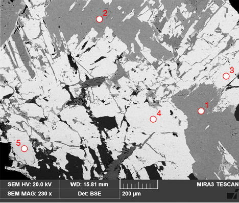 Backscattered electron image of rhodonite/pyroxmangite Backscattered electron image of rhodonite/pyroxmangite