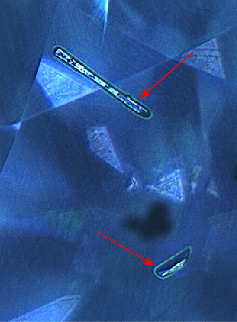 Green fluorescence halos around two cavity features.