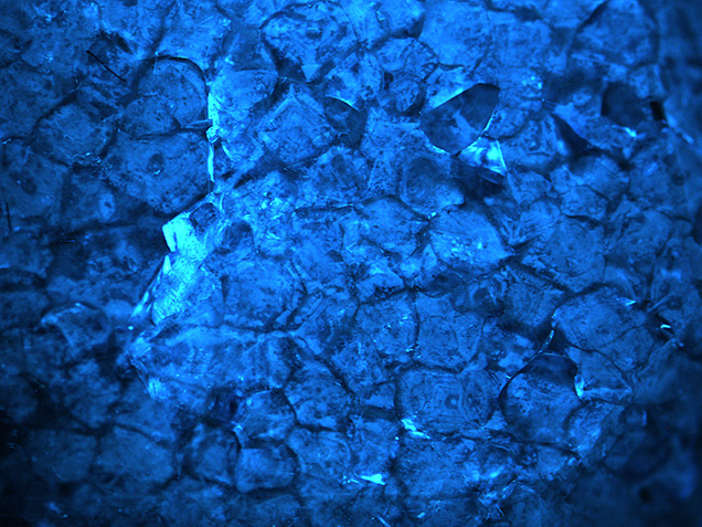 Fluorescence imaging shows bundled dislocation networks.