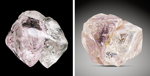 Rough diamond crystals exhibiting both pink and colorless sections. Rough diamond crystals exhibiting both pink and colorless sections.