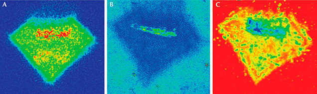 Photoluminescence maps of the diamond-shaped cloud inclusion. Photoluminescence maps of the diamond-shaped cloud inclusion.
