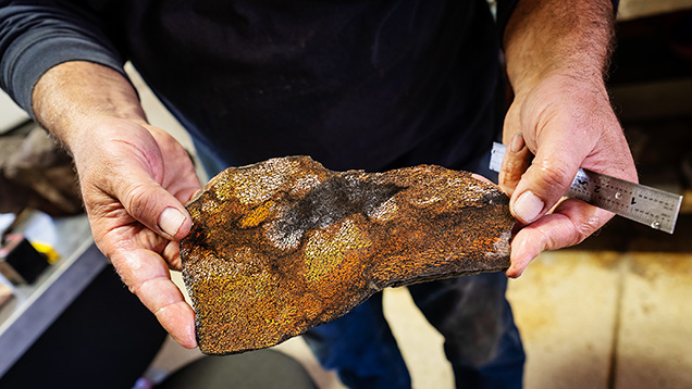 The colors and textures of gem dinosaur bone. The colors and textures of gem dinosaur bone.