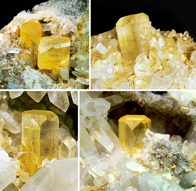 Four specimens of vivid “wine yellow” topaz with quartz from the Schneckenstein crag. Four specimens of vivid “wine yellow” topaz with quartz from the Schneckenstein crag.