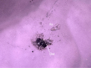 Figure 3. A colorless subhedral forsterite (Fo) inclusion and a dolomite (Dol) inclusion with an unknown dark material attached. Photomicrograph by Jinlin Wu; field of view 0.66 mm. Figure 3. A colorless subhedral forsterite (Fo) inclusion and a dolomite (Dol) inclusion with an unknown dark material attached. Photomicrograph by Jinlin Wu; field of view 0.66 mm.
