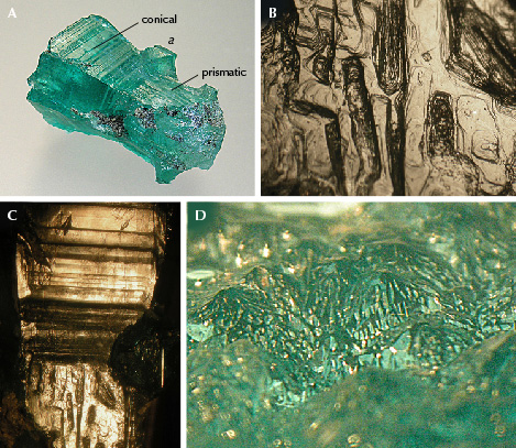 Figure 11. A: Sample 10 (25.0 mm in length), an emerald with conical habit in the upper left and prismatic habit in the lower right; the base is covered with numerous hillocks; a protrusion at the conical part represents a growth sector confined to the prism a. B: Stepped surface texture of the prismatic part. C: Growth steps at the prismatic part (bottom) and the conical part (top), and the c-axis runs vertically. D: On the basal face, the surfaces of the hillocks consist of numerous small faces that reflect light; viewed oblique to the c-axis. Photos by K. Schmetzer; fields of view 5.7 mm (B), 9.5 mm (C), and 5.0 mm (D).