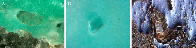 Figure 10. Euhedral quartz crystals in turquoise. A: Quartz with a hexagonal prism cross section (perpendicular to the c-axis). B: Quartz with a pyramidal trigonal habit. C: Quartz showing transverse striations under differential interference contrast microscopy. Photomicrographs by Ling Liu; fields of view 0.9 mm (A), 0.5 mm (B), and 0.6 mm (C).