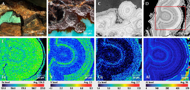 Figure 12. A: Goethite with 0.232–1.383 mm thickness. B: Oolite-like goethite. C: Goethite with concentric layers. D: Goethite showed distinct oscillatory zonings in BSE images. E: EPMA element mapping revealed variations in iron, vanadium, copper, and aluminum contents. Images by Ling Liu.