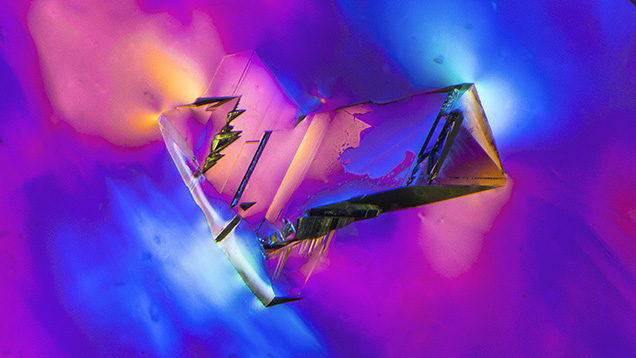 Figure 2. Polarized light shows an elongated modified diamond octahedron displaying various degrees of interfacing with the host diamond crystal. Photomicrograph by Nathan Renfro; field of view 2.18 mm. Figure 2. Polarized light shows an elongated modified diamond octahedron displaying various degrees of interfacing with the host diamond crystal. Photomicrograph by Nathan Renfro; field of view 2.18 mm.
