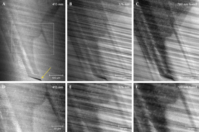 Figure 15. Following similar analytical procedures, a region encompassing a distinctive growth zone as outlined in white in figure 13D is PL mapped for N3 (A), the 576 nm peak (B), and the 700 nm band (C). The yellow arrow in A shows an area at the edge of the growth zone that is devoid of N3. D–F: The same information shown in A–C is repeated for the region outlined in white in image A.