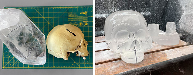 Figure 2. Left: One of the rock crystal quartz crystals from the Zigras mine in Blue Springs, Arkansas, next to the skull the artist used as a reference for the sculpture. Right: The skull and jawbone components before more details were added. Courtesy of Jarex Schmidt. Figure 2. Left: One of the rock crystal quartz crystals from the Zigras mine in Blue Springs, Arkansas, next to the skull the artist used as a reference for the sculpture. Right: The skull and jawbone components before more details were added. Courtesy of Jarex Schmidt.