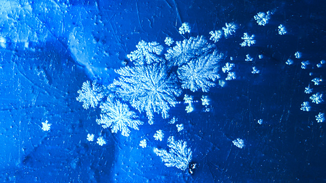 Group of aragonite snowflake inclusions in opal likely from Ethiopia. Photomicrograph by Narint Jaisanit; field of view 1.80 mm. Group of aragonite snowflake inclusions in opal likely from Ethiopia. Photomicrograph by Narint Jaisanit; field of view 1.80 mm.
