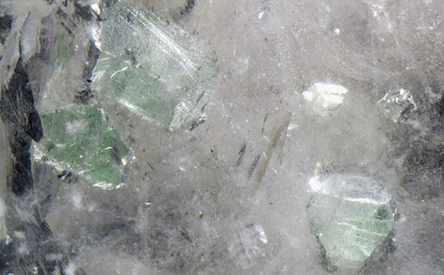 Figure 2. Scattered transparent to translucent, near-colorless to apple green crystals of isometric fluorite, the largest measuring 11.2 mm. The fluorite inclusions fluoresce a strong blue when exposed to UV radiation. Photomicrograph by Nathan Renfro; field of view 32 mm. Figure 2. Scattered transparent to translucent, near-colorless to apple green crystals of isometric fluorite, the largest measuring 11.2 mm. The fluorite inclusions fluoresce a strong blue when exposed to UV radiation. Photomicrograph by Nathan Renfro; field of view 32 mm.