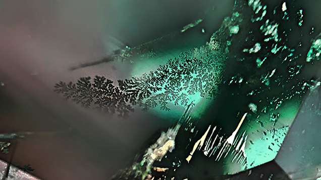 These dendritic patterns in a partially filled fissure in an emerald resemble natural foliage, also known as jardin. Photomicrograph by Sameer Din Faqir; field of view 2.50 mm. These dendritic patterns in a partially filled fissure in an emerald resemble natural foliage, also known as jardin. Photomicrograph by Sameer Din Faqir; field of view 2.50 mm.
