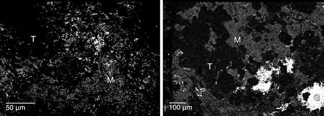 Two microscopic images showing dark, textured surfaces with labeled regions: T, G, and M. Scale bars indicate 50 µm and 100 µm.
