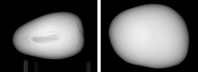 X-ray of examined pearl and natural conch pearl. X-ray of examined pearl and natural conch pearl.
