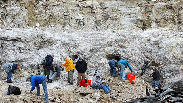 Pegmatite body at the Havey Quarry in Maine. Pegmatite body at the Havey Quarry in Maine.