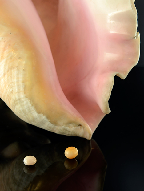 SU15-GNI-fig8_185380-468x620.jpg. Two of the eight studied nonbead-cultured pearls.