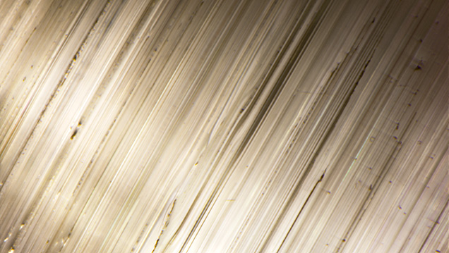 SU15-Micro-World-fig13_185218-636x358.jpg. Growth tubes causing the chatoyancy in the bicolor tourmaline.